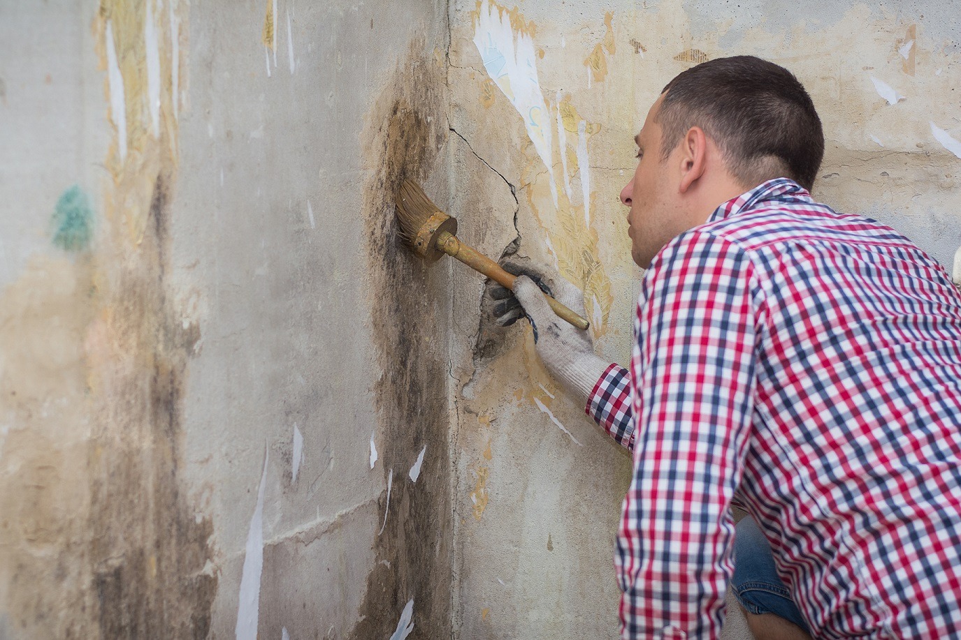 Mold removal 