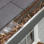 Gutter Cleaning Services