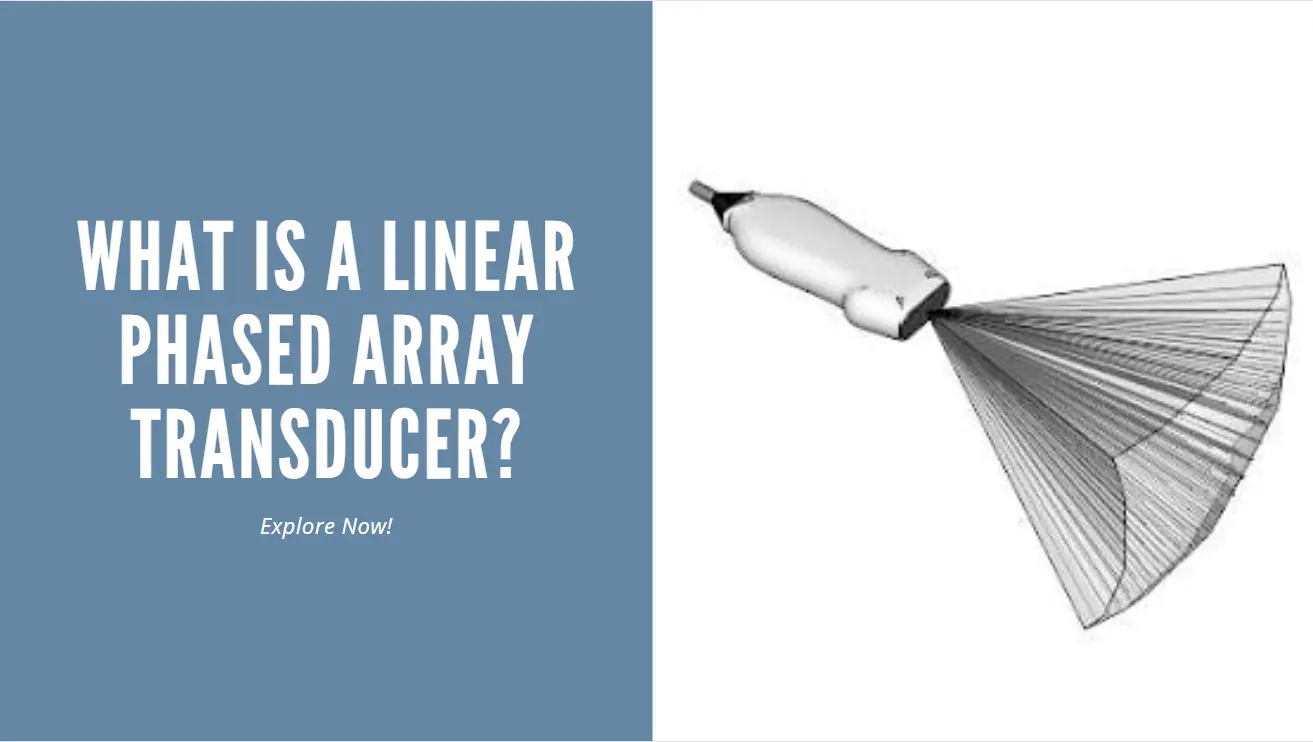 Linear array transducer